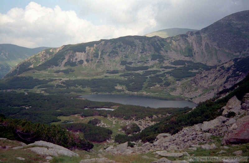IMG1028.jpg