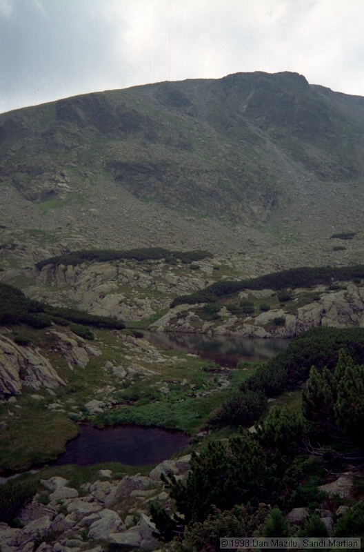 IMG1031.jpg