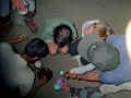 IMG1037