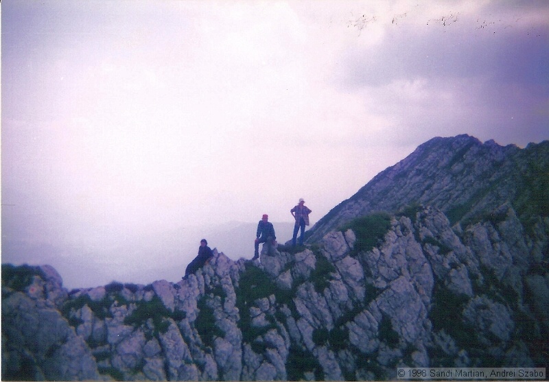 007.jpg