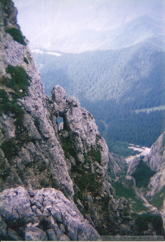 008.jpg