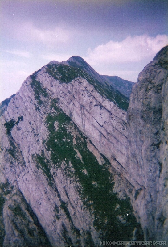 013.jpg