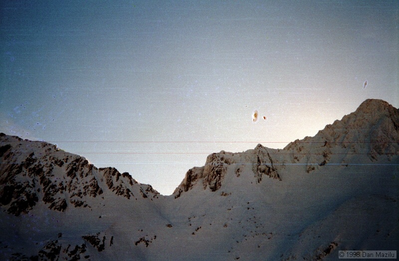IMG1330.jpg