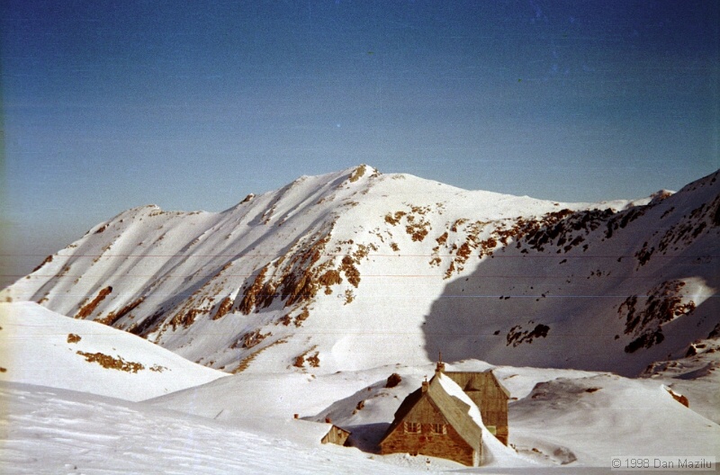 IMG1332.jpg