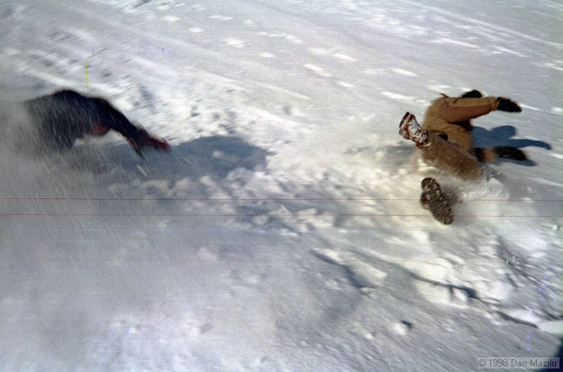 IMG1334.jpg