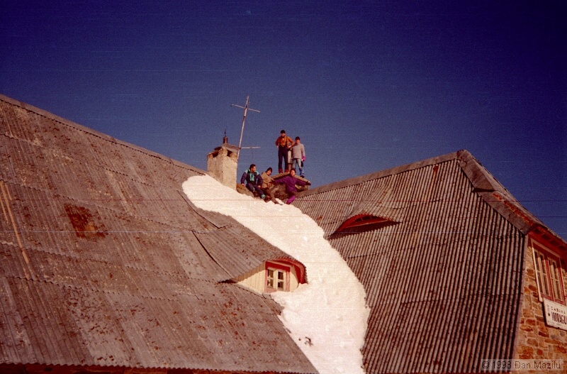 IMG1335.jpg
