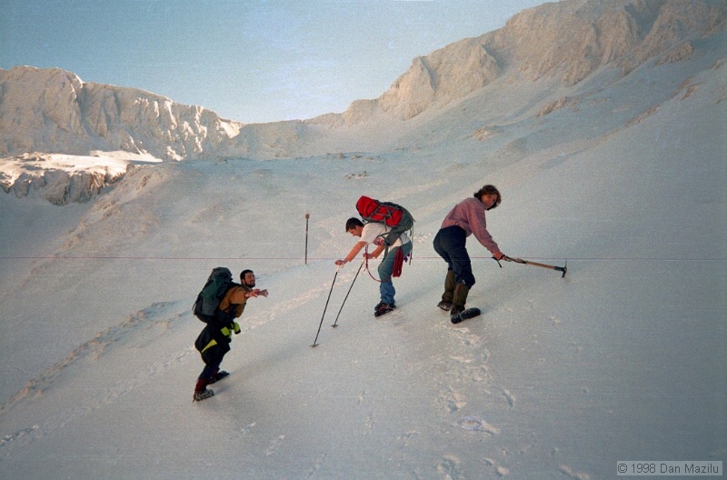 IMG1342.jpg