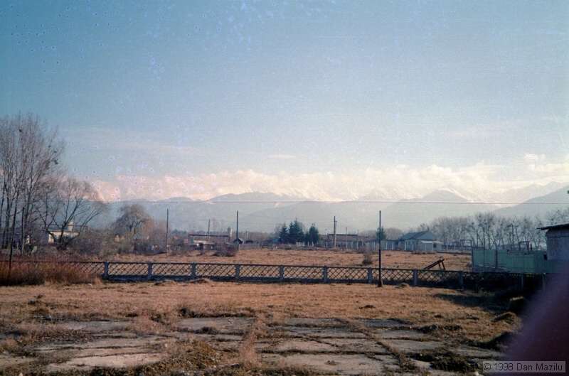 IMG1353.jpg