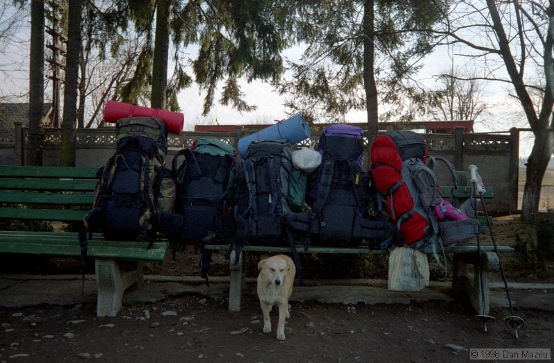 IMG1354.jpg