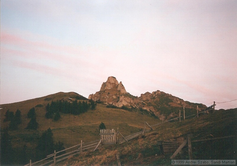 009.jpg