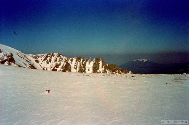 IMG1785.jpg