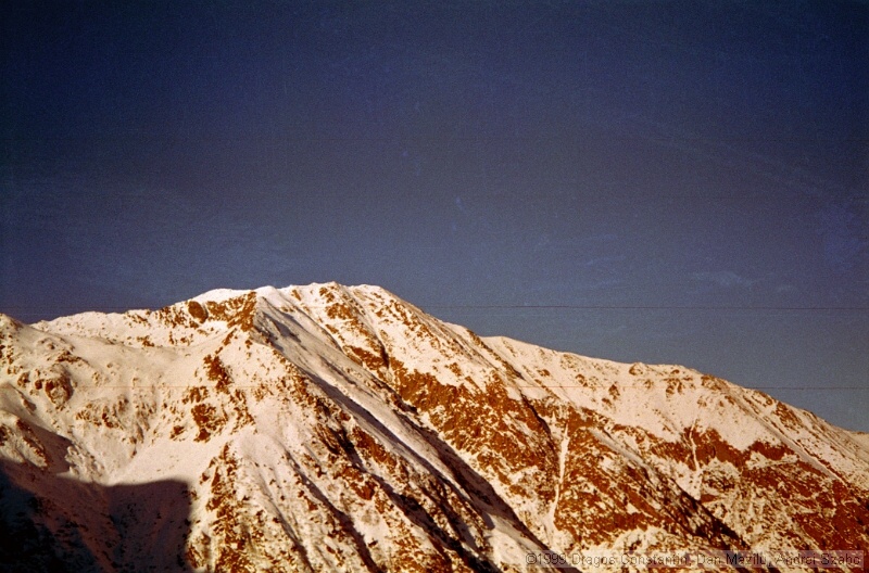 IMG1874.jpg