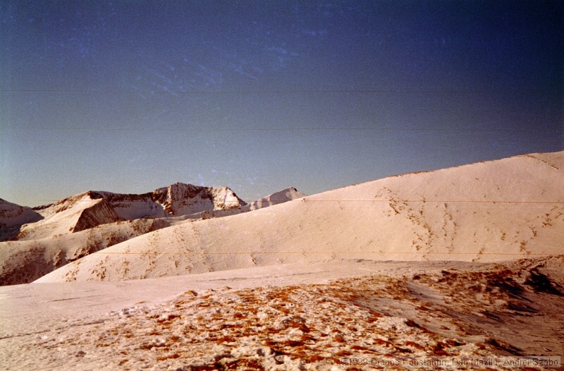 IMG1880.jpg