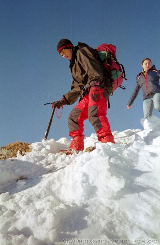 IMG1886.jpg