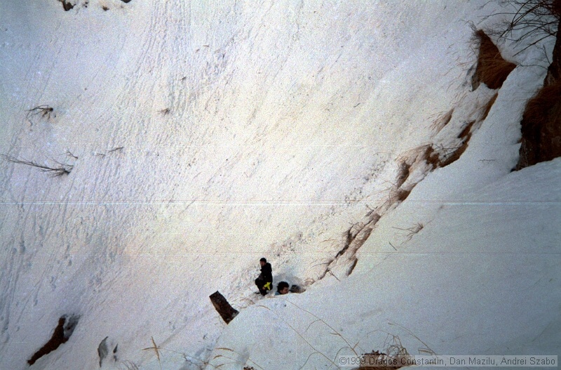 IMG1895.jpg
