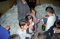 IMG1893