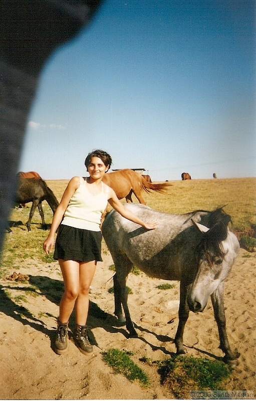 scan0065.jpg