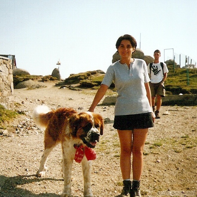 scan00823.jpg