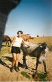 scan0065