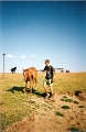scan0066
