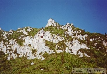 09.jpg
