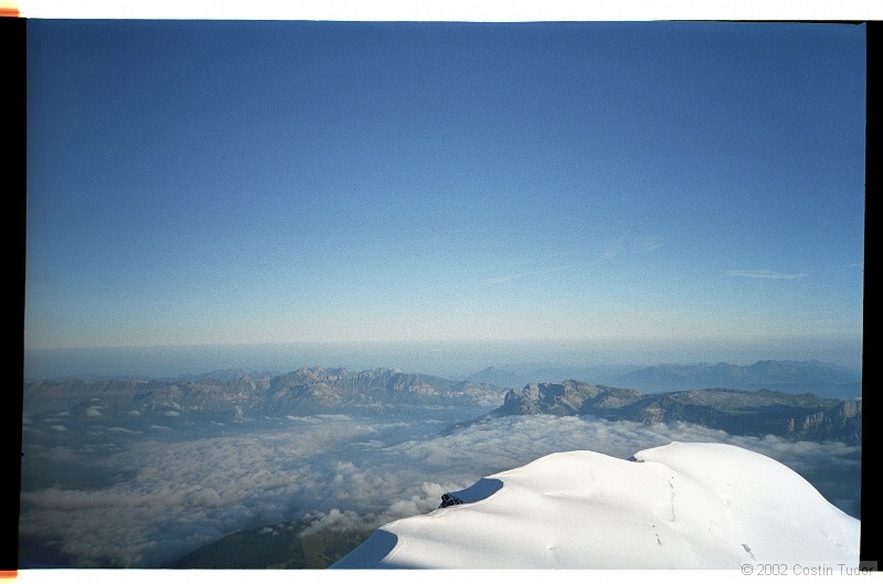 IMG2431.jpg