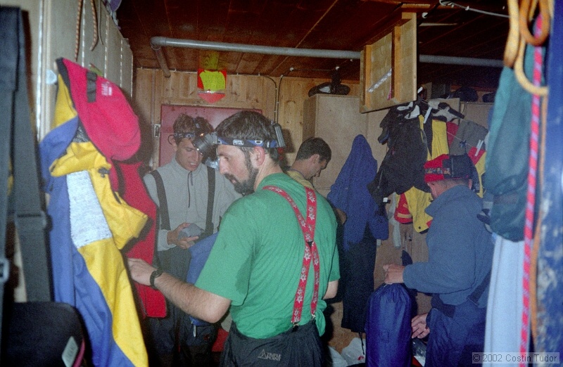 IMG986.jpg
