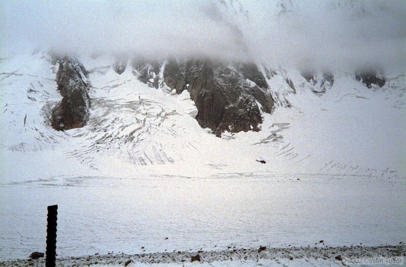 IMG988.jpg