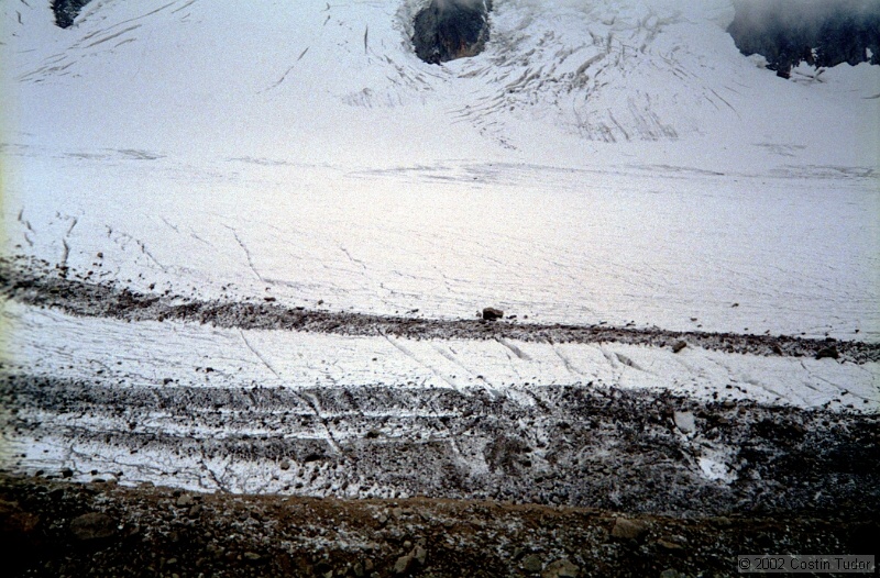 IMG993.jpg