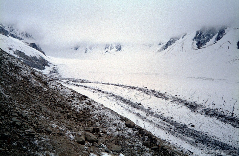 IMG994.jpg