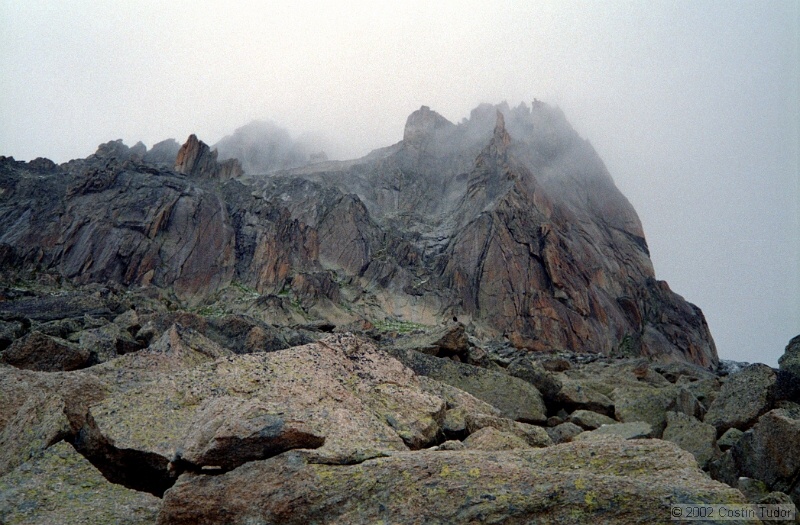 IMG995.jpg