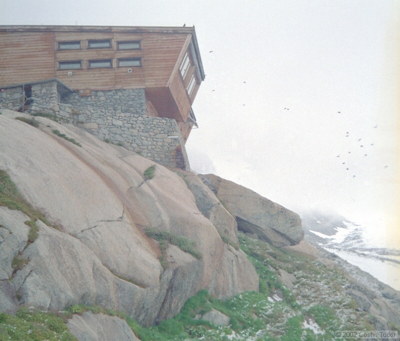 IMG998.jpg