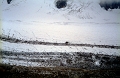 IMG993