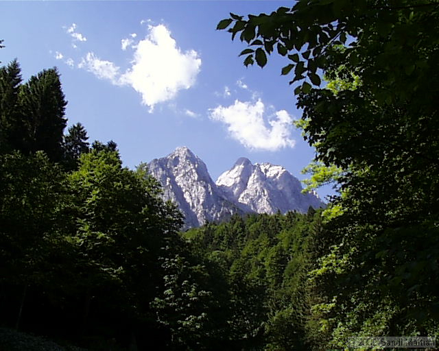 PIC00069.jpg