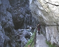 PIC00071
