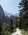 PIC00077