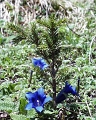 PIC00080