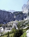 PIC00081