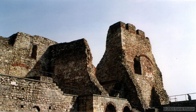 TMP63.jpg