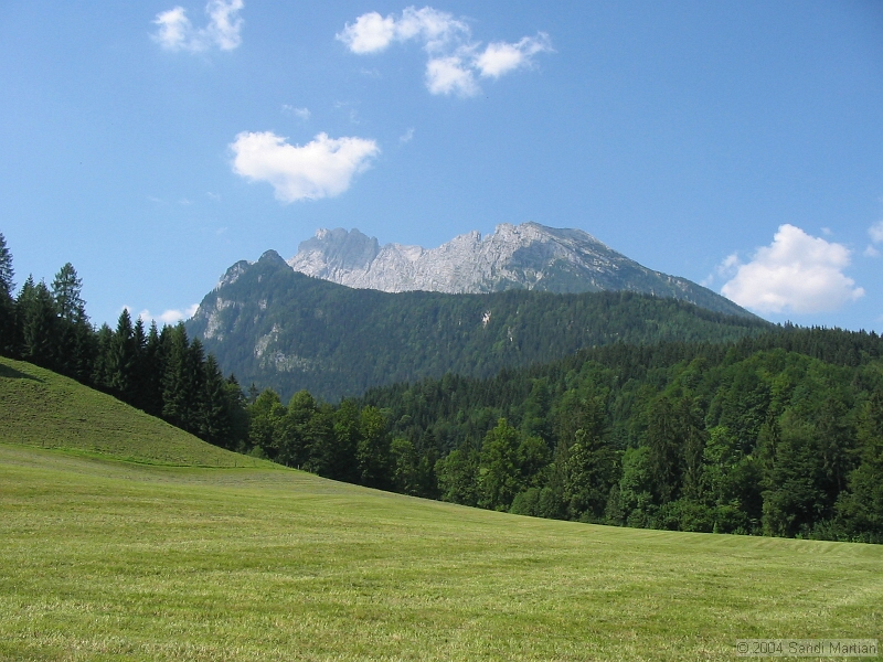 IMG_1798.jpg