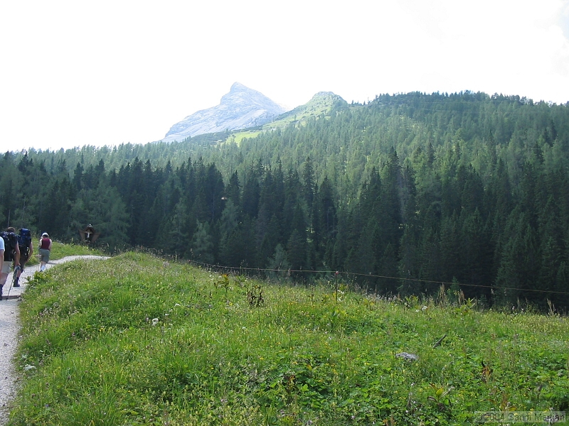 IMG_1804.jpg