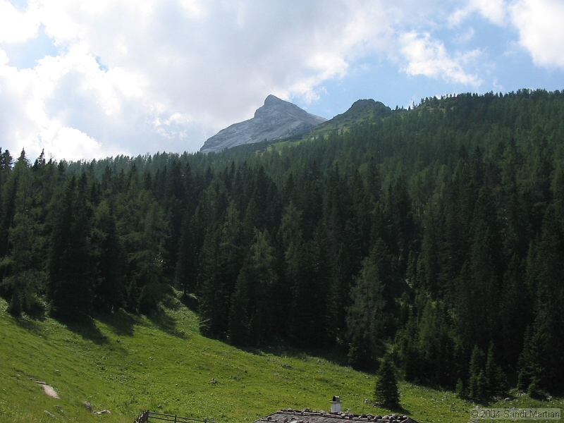 IMG_1808.jpg