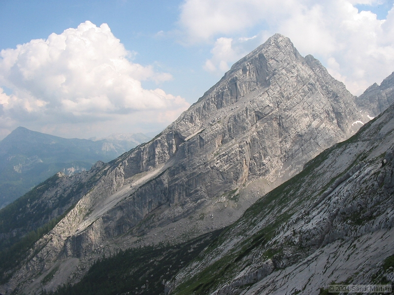 IMG_1824.jpg