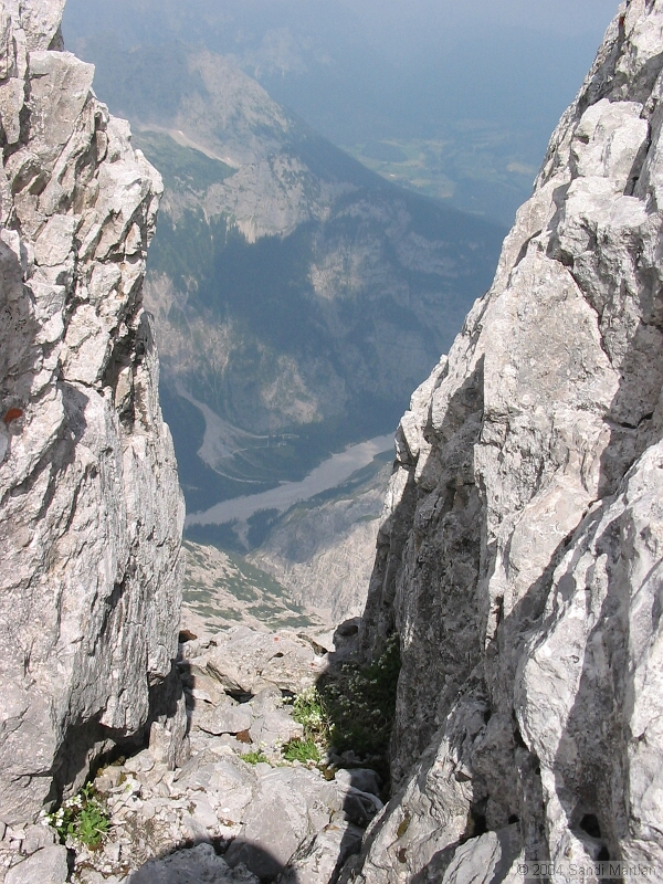 IMG_1894.jpg