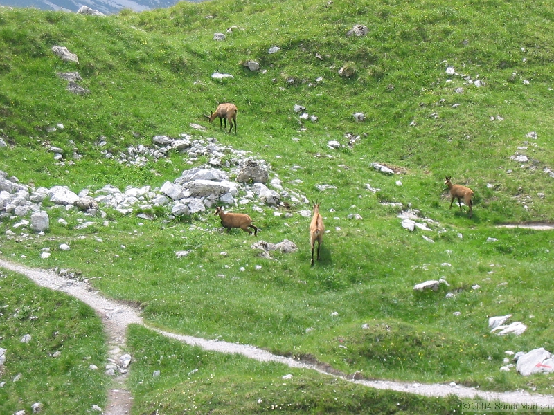 IMG_1900.jpg