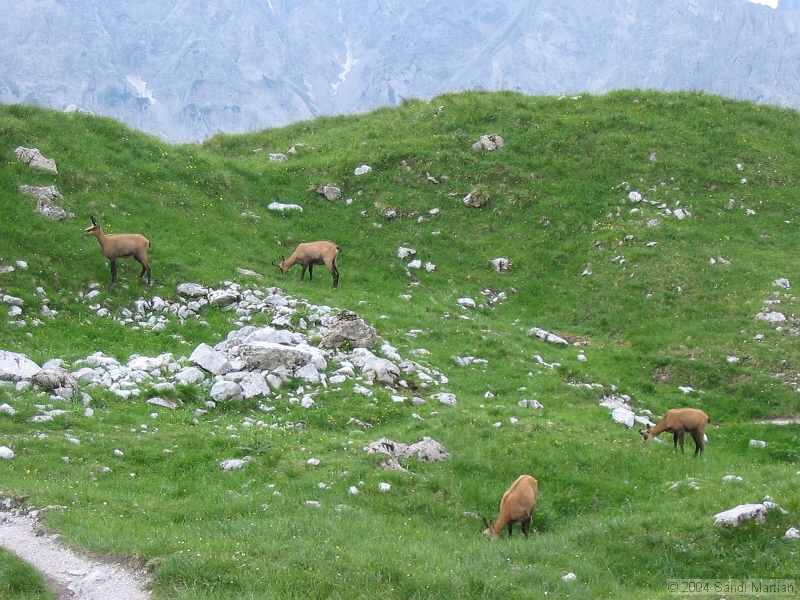 IMG_1902.jpg