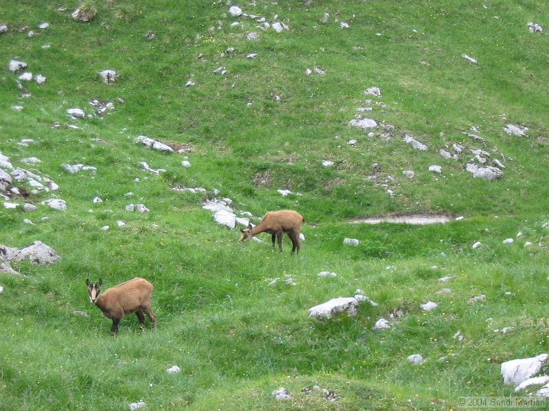 IMG_1903.jpg