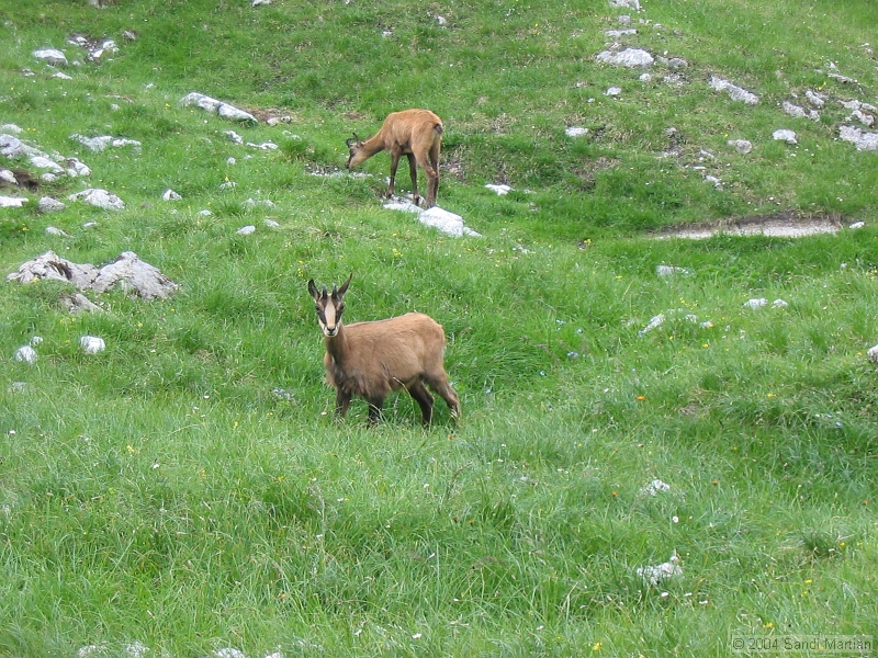 IMG_1904.jpg