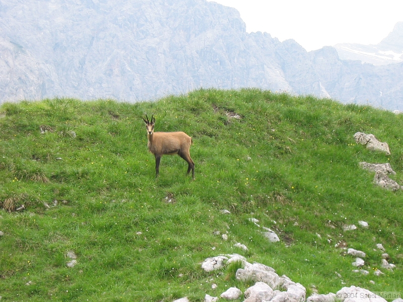 IMG_1905.jpg