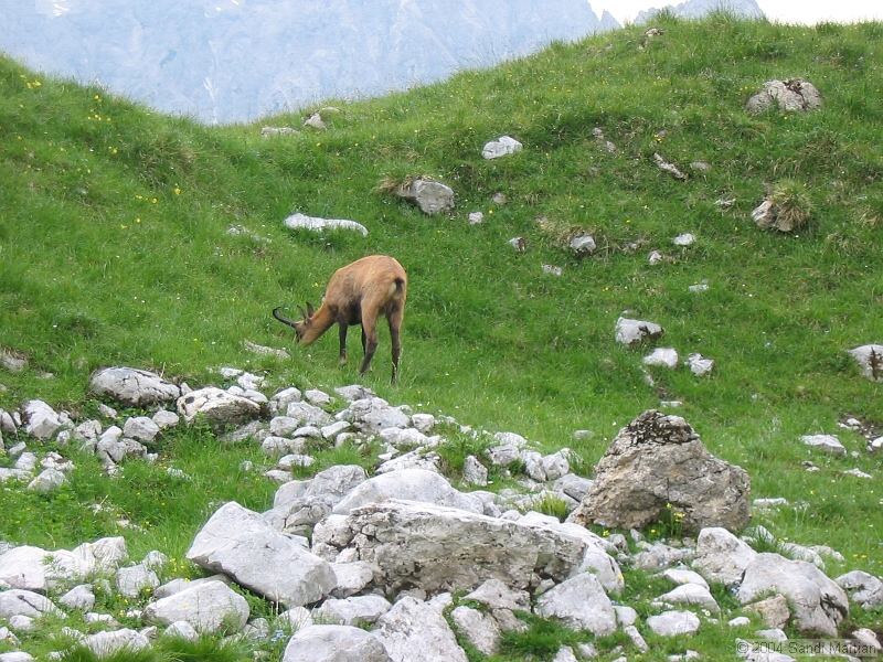 IMG_1906.jpg